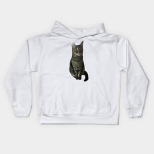 Good Kitty Kids Hoodie